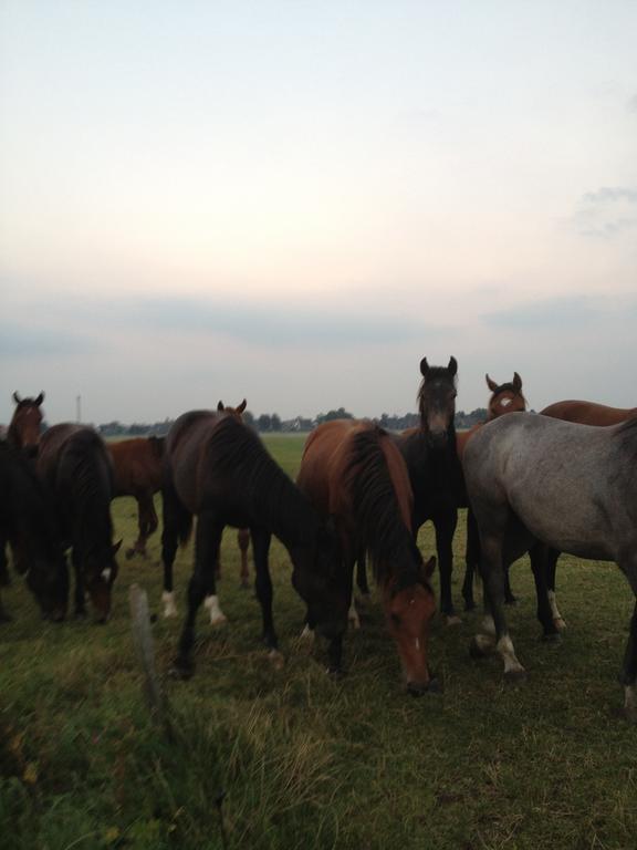 Farm Stay Hof Auf Der Wurp Harrierwurp Bagian luar foto